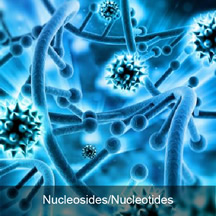Nucleosides/Nucleotides